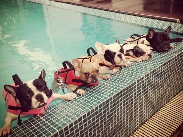 Meninos, hoje vamos aprender a nadar!