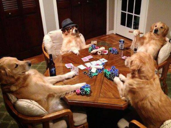 Noite de poker