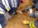 Bombeiros de Rio Maior salvam cão de forma extraordinária