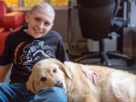 Examinar o efeito dos cães de terapia em crianças com câncro