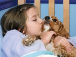 Novo estudo explica porque é que ter cães reduz alergias