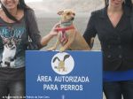 Las Palmas inaugura a primeira praia canina nas Canárias