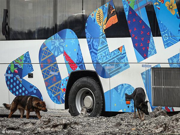 Foto Uma corrida para salvar os cães vadios de Sochi