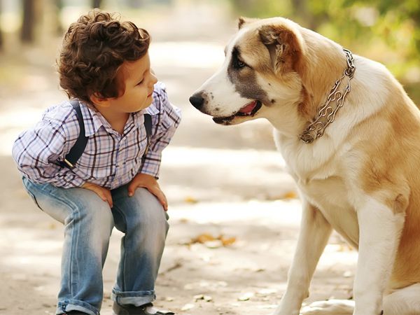 Foto Cães e crianças: a importância do primeiro contacto